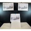 Image 1 : Alex Halliburton 3 Copies of Down from the Tundra 16Tx22W