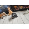Image 5 :  Collection Of Framed Animal Art Prints And Several Small Animal Figurines , Wild Life Decorative