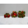 Image 1 : Chalk Fruits, Apples, Berries