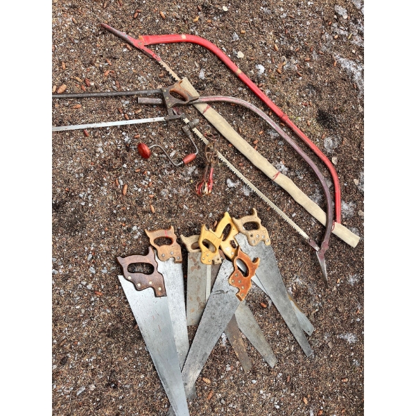  collection  of vintage saws

In all shapes and sizes 11 in total with hand drill 