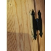 Image 5 : Wooden Storage Bench With Spindle Backrest and Hinged Lid