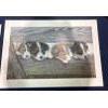 Image 2 : Alex Halliburton Nautical Nap Old Sailor Print 289/300, Campbell River Collies 167/450 Print