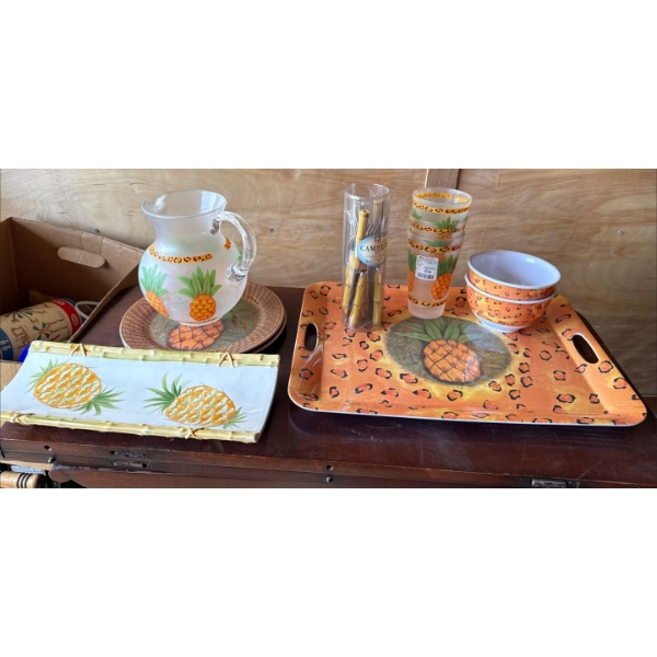 Pineapple Themed Picnic Set  