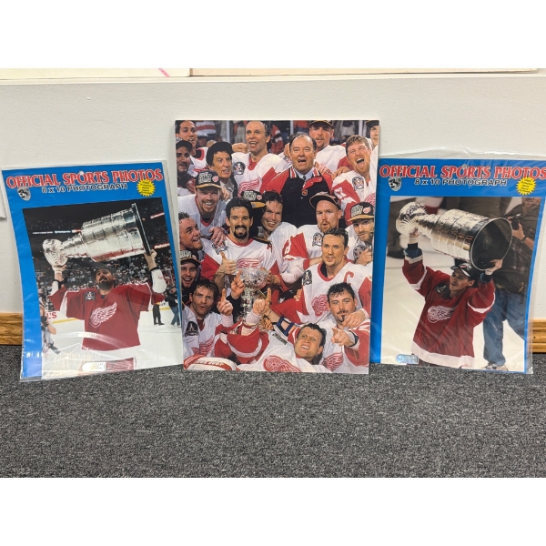 Detroit Red Wings Stanley Cup Photographs, Set of Three