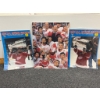 Image 3 : Detroit Red Wings Stanley Cup Photographs, Set of Three