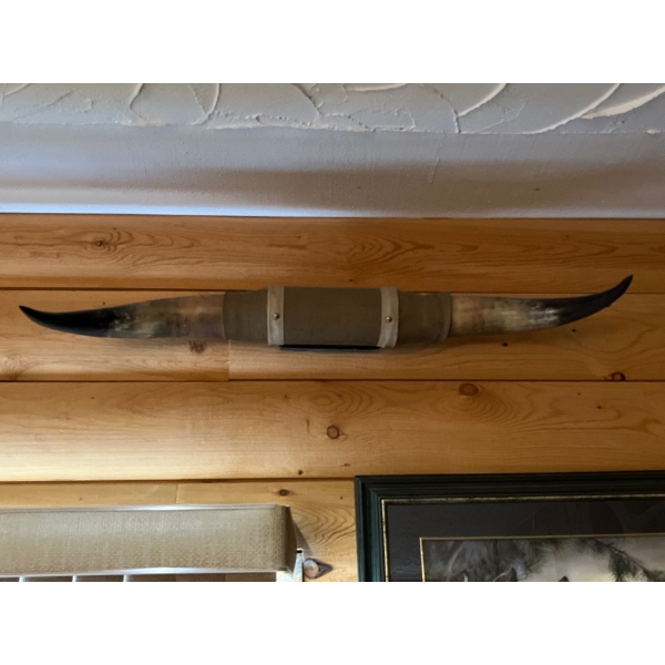 Bull Horns wall hangers 36” long .