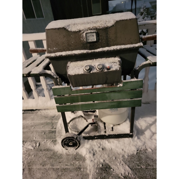 Portable Propane BBQ Unit - Name & Make Unknown Due To Weather Cond.