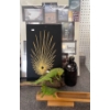 Lizard & Decor 