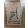 Image 2 : Bird Print 15 X 18 Framed Under Glass
