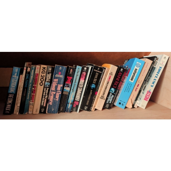 Assorted Interests Book Collection - Stephan King Anne Rice Tom Clancy & more