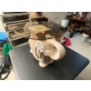 Image 1 : Elephant Table with Glass Top