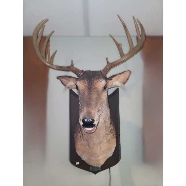 "Buck" Animated Decor 18 X 36 Suspicious Minds, Friends in Low Places, Sweet Home Alabama and More!