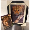 Image 2 : Assorted Nature & Wild Life/Animal Decor-Framed Cheetah + Coasters+$$