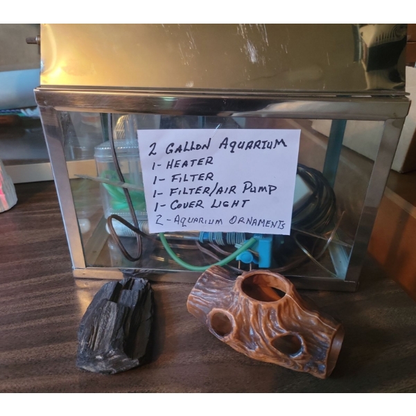 2 Gallon Aquarium w/ Required Equipment & Gravel Decor & more