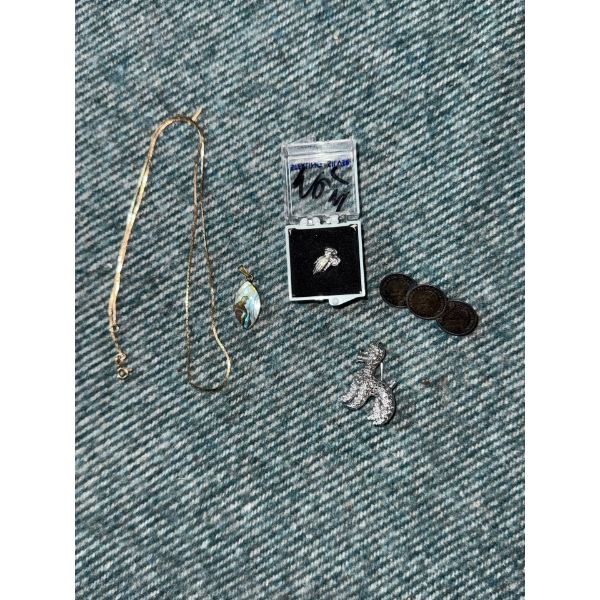 Sterling Silver Brooches and a Gold Chain & Pendant