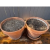 Image 3 : Terracotta Pots with Soil and Two Plastic Watering Cans