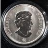 Image 2 : 2007 25¢ Birds of Canada: Ruby-Throated Hummingbird - Coloured Coin