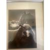 Untitled B&W photograph from "Luigi le berger", Marcel Imsand (Swiss photographer)10 x 12 