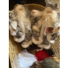 Image 2 : Home Decor Incl. Decorative Santas, Decorative Eagle, Woven Basket (32L) 