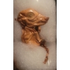 Image 2 : Collection of Preserved Rattlesnake Head & Mummified Fetal Piglet 