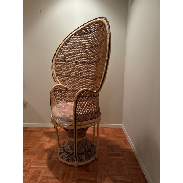 Wicker Chair 39W 60T