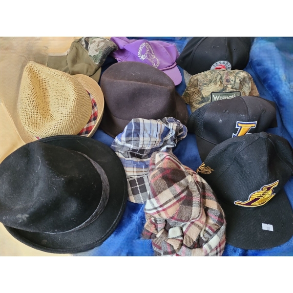 Assortment of Men's Hats Including: Toronto Raptors, Levi Strauss, Wrangler and More!