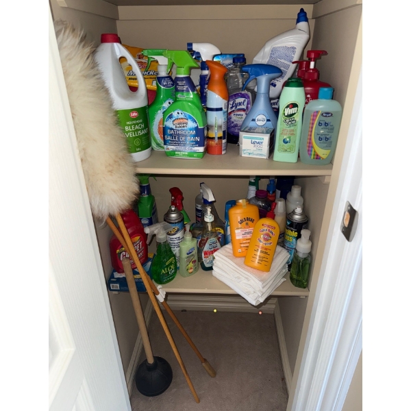 Colossal Cleaning Products Collection - Frebreze Vim Scrubbing Bubbles Windex Zep & More