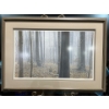 Image 1 : Robert Bateman Hardwood Forest - White Tailed Deer Numbered Print 32Wx19H