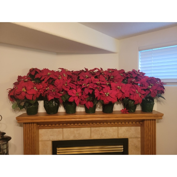 On Point Poinsettias - Artificial Holiday House Plant Hoard  - More Than U Can Count