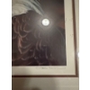 Image 2 : Carl Brenders Eagle Print 21 x 18 767/1950