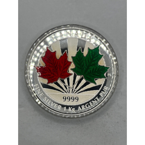 $250 99.99% Fine Silver Coin 1,000g