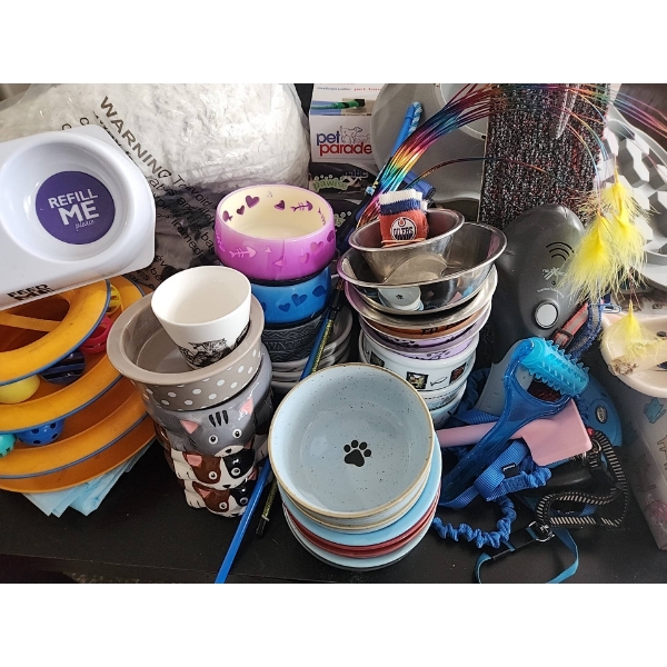 Cat and Dog Supplies Bundle