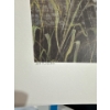 Image 5 : Alex Halliburton Spring Forager, Nautical Nap, Campbell River Collies