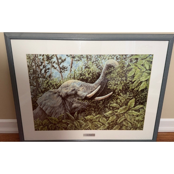 "Little Great One", Artist: Gail Adams, 35 X 27, Framed Under Glass