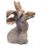 Image 4 : Kudu Shoulder Mount by M. O'Connor
