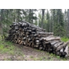 Image 1 : LARGE STACK OF LOGS FOR ALL YOUR FIRE WOOD NEEDS 
Average length of the logs are 10‘5“ average diame