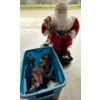 Image 1 : Winter Holidays Collection #2 Including Tall Santa 