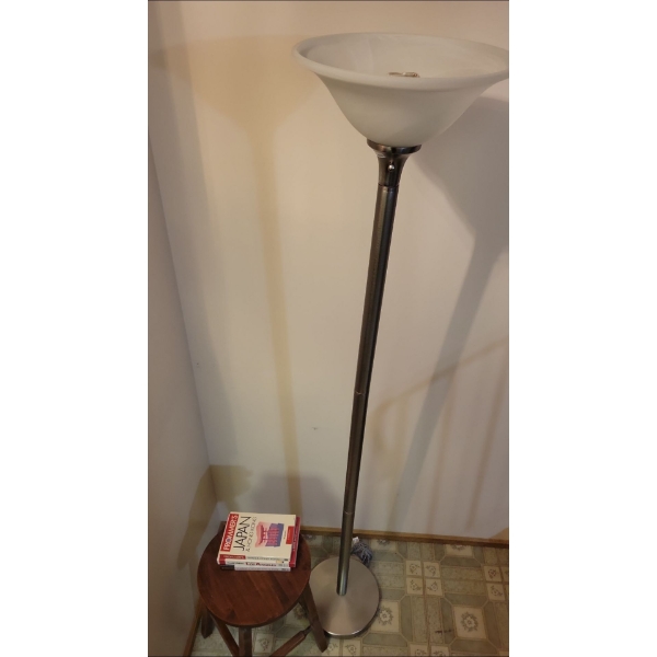 Brushed Nickel Dimmable Floor Lamp 6ft Tall w/ Wood Step Stool