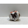 Image 3 : Chalk Bank, White and Brown Bear with Orange Paws