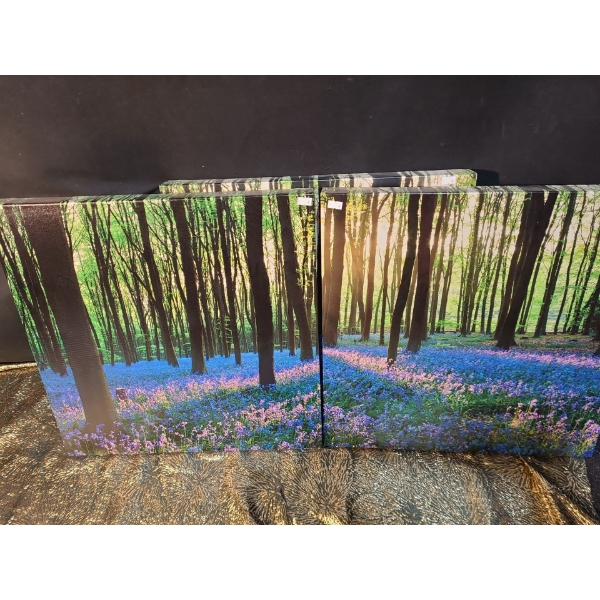 Set of 3 Canvas Prints 20 X 20 Each, Slightly Different to Create a Panorama View