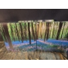 Image 1 : Set of 3 Canvas Prints 20 X 20 Each, Slightly Different to Create a Panorama View