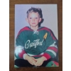 Image 7 : Wayne Gretzky Childhood and Early Hockey Photos