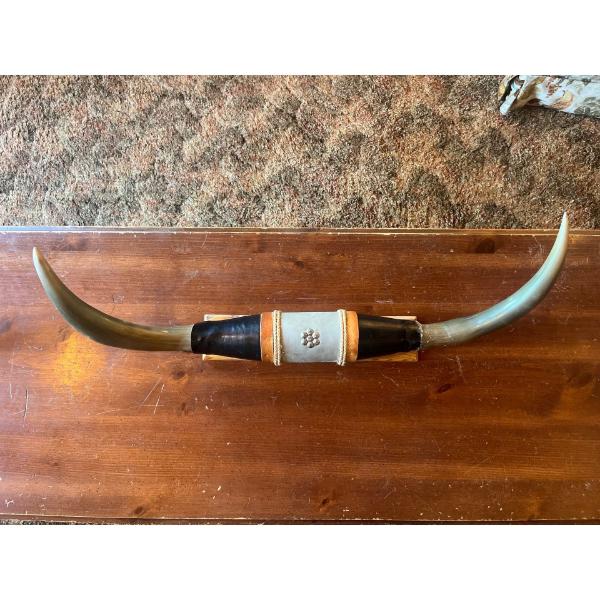 Longhorn Decorative Wall hangers Medium Sixe L30"