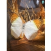 Image 2 : Butterfly Specimen Display Under Glass Dome
