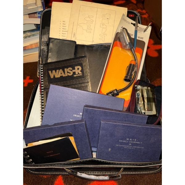 Mental Health Object Assembly Kit