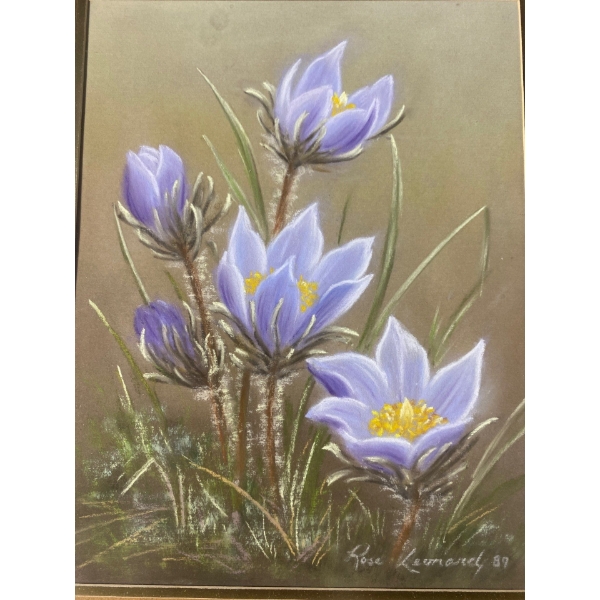 Prairie Crocus by Rose Lennard, 1981 (6.5" x 8.5" Inches Before Frame)