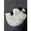 Image 4 : Soapstone Carving of Seal, Artist: Unknown, 3 W, 2 D, 2 T 