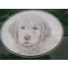 Image 7 : 4 Kathy Hagerman Limited Edition Golden Retriever Prints Framed Under Glass & Matted