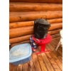 Image 4 :  Little cooker, barbeque electric with little red table and barbeque cover