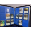Image 6 : MTG Binder of 118 Rivals of Ixtalan Cards
